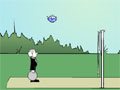 Jeeve'nin Voleybolu