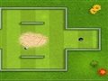247 mini golf tek oyuncu