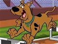 Scooby Doo engel yarış