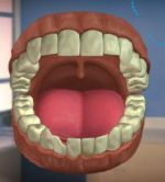 Diş Hekimi