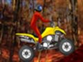 Quad Extreme Racer