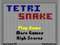 TetriSnake 